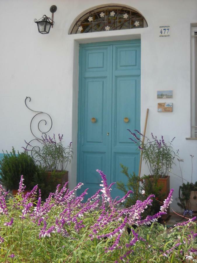 Giardino Della Moscatella Bed & Breakfast Altamura Exterior photo